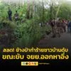 ช้างป่าทำร้ายชาวบ้าน-เสียชีวิตขณะขับรถจักรยานยนต์ออกหาอึ่ง-|-2025-05-18-05:50:00