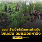 ช้างป่าทำร้ายชาวบ้าน-เสียชีวิตขณะขับรถจักรยานยนต์ออกหาอึ่ง-|-2025-05-18-05:50:00
