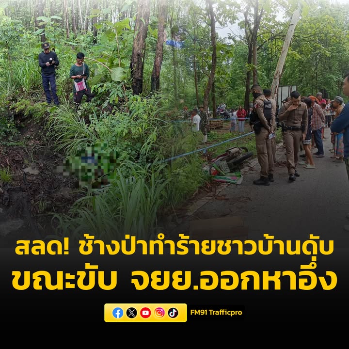 ช้างป่าทำร้ายชาวบ้าน-เสียชีวิตขณะขับรถจักรยานยนต์ออกหาอึ่ง-|-2025-05-18-05:50:00