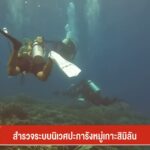 สำรวจระบบนิเวศปะการัง-หลังปิดฤดูการท่องเที่ยวหมู่เกาะสิมิลัน