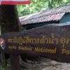 ภารกิจสำรวจแนวปะการัง-หลังปิดการท่องเที่ยวและพักแรม-ที่อุทยา