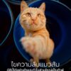 หลังจากพยายามหาคำตอบกันอยู่นาน-ในที่สุดนักวิทยาศาสตร์ก็สามาร