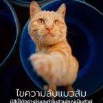 หลังจากพยายามหาคำตอบกันอยู่นาน-ในที่สุดนักวิทยาศาสตร์ก็สามาร