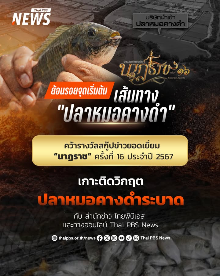 ปลาหมอคางดำ-มาจากไหน-?-ย้อนจุดเริ่มต้น-เส้นทาง-“ปลาหมอคางดำ”