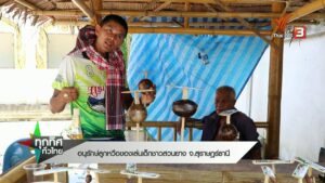 อนุรักษ์ลูกหวือ-ของเล่นเด็กชาวสวนยาง-จ.สุราษฎร์ธานี-ข่าวที่