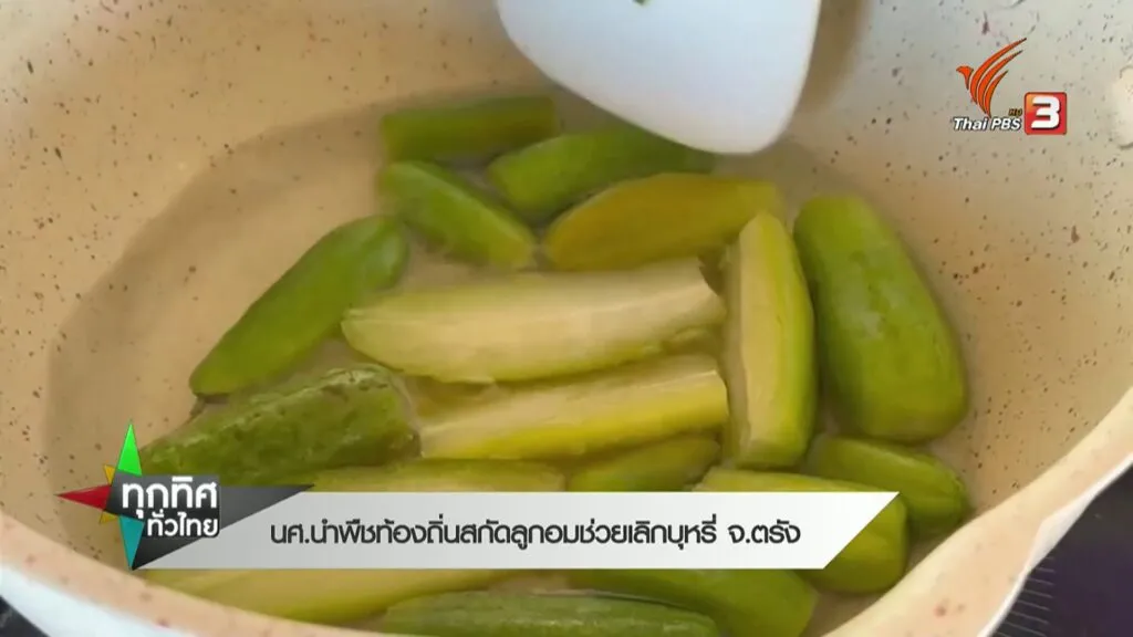 นศนำพืชท้องถิ่นสกัดลูกอมช่วยเลิกบุหรี่-จ.ตรัง-ข่าวที่คุณวา