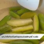 นศนำพืชท้องถิ่นสกัดลูกอมช่วยเลิกบุหรี่-จ.ตรัง-ข่าวที่คุณวา
