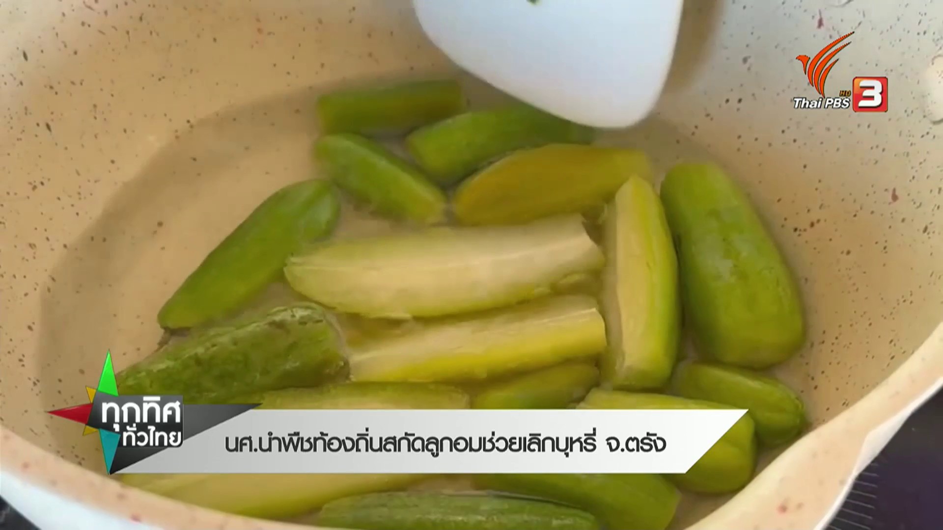 นศนำพืชท้องถิ่นสกัดลูกอมช่วยเลิกบุหรี่-จ.ตรัง-ข่าวที่คุณวา