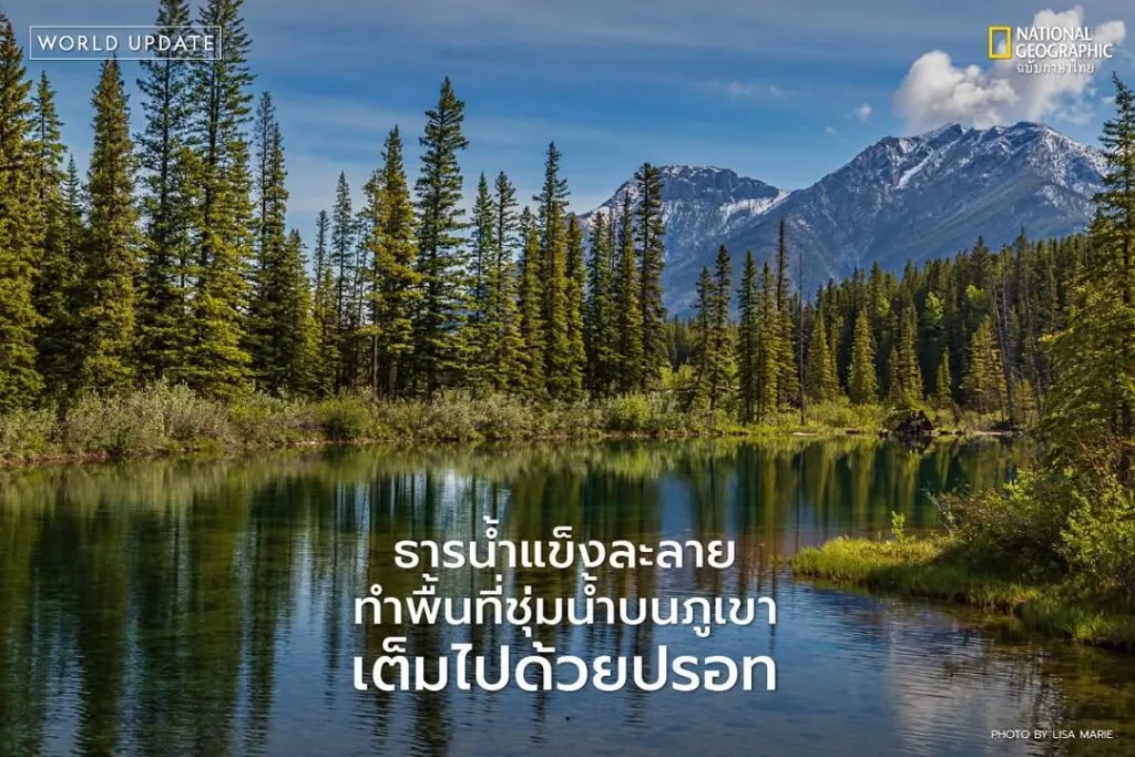 งานวิจัยใหม่ที่เผยแพร่บนวารสาร-environmental-learn-letter