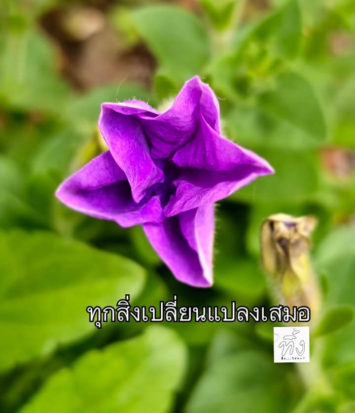 ทุกสิ่ง-เปลี่ยนแปลงเสมอ-พระพุทธองค์ตรัสว่า-บุคคลบางคนในโลกน-|-2025-05-21-11:07:00