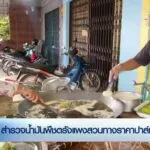 สำรวจน้ำมันพืชตรังแพงสวนทางราคาปาล์มถูก--#th