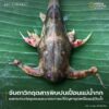 เมื่อไม่นานมานี้-รายงานข่าวจากสื่อหลายสำนักระบุตรงกันว่า-ที่