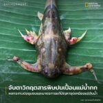 เมื่อไม่นานมานี้-รายงานข่าวจากสื่อหลายสำนักระบุตรงกันว่า-ที่