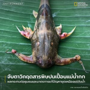 เมื่อไม่นานมานี้-รายงานข่าวจากสื่อหลายสำนักระบุตรงกันว่า-ที่