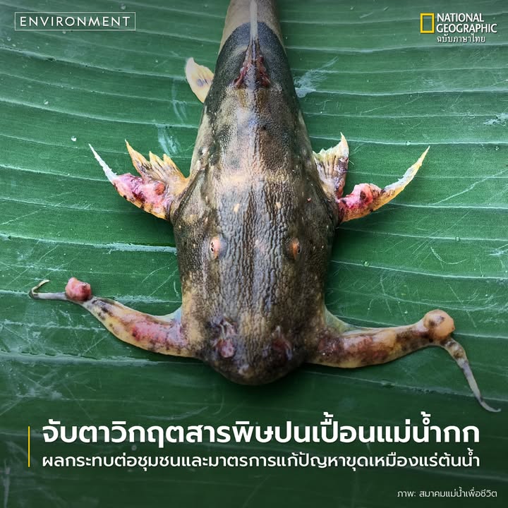เมื่อไม่นานมานี้-รายงานข่าวจากสื่อหลายสำนักระบุตรงกันว่า-ที่