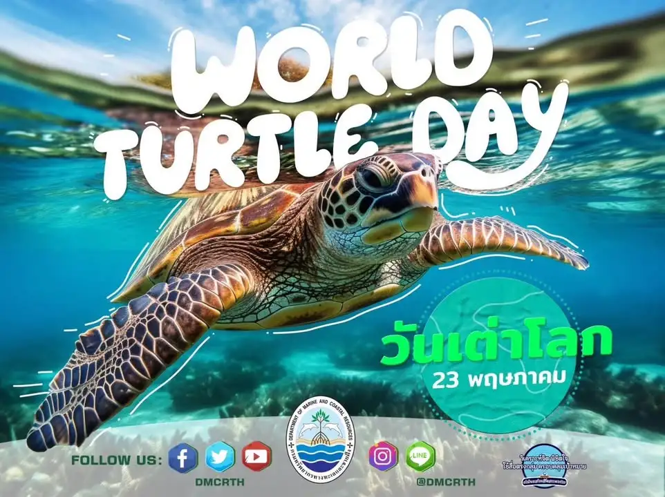 วันที่-23-พฤษภาคม-ของทุกปี-วันเต่าโลก-(world-turtle-day)-เ