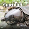 23-พฤษภาคม-“วันเต่าโลก”-วันที่-23-พฤษภาคมของทุกปีเป็นวันเต่า