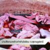 นำเปลือกมะพร้าวทำผ้ามัดย้อม-จ.สุราษฎร์ธานี-