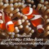 ผลการค้นพบได้เผยแพร่ไว้บนวารสาร-science-advances-โดยระบุว่าป