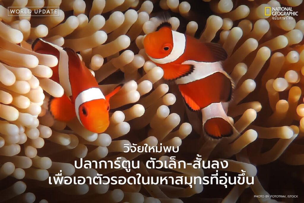 ผลการค้นพบได้เผยแพร่ไว้บนวารสาร-science-advances-โดยระบุว่าป