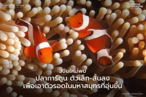 ผลการค้นพบได้เผยแพร่ไว้บนวารสาร-science-advances-โดยระบุว่าป