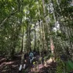 สำรวจป่าหน้าฝน…-ความอุดมสมบูรณ์ที่ซ่อนอยู่ภายในผืนป่าอนุรักษ