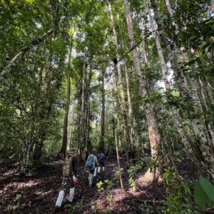 สำรวจป่าหน้าฝน…-ความอุดมสมบูรณ์ที่ซ่อนอยู่ภายในผืนป่าอนุรักษ