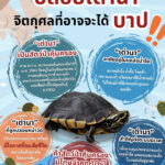รู้หรือไม่-“เต่านา”-เป็นสัตว์ป่าคุ้มครอง-ที่มีการลักลอบค้ามา