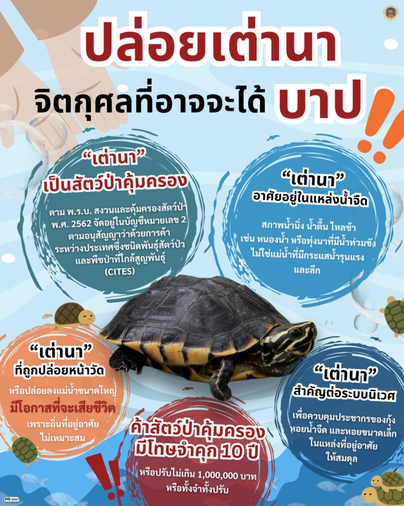 รู้หรือไม่-“เต่านา”-เป็นสัตว์ป่าคุ้มครอง-ที่มีการลักลอบค้ามา