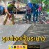 ผึ้งหลวงรุมต่อยชาวบ้านเจ็บหลายราย-หลังวัดบางพยอม-อาสากู้ภัยเ-|-2025-05-28-23:05:00