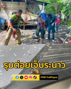 ผึ้งหลวงรุมต่อยชาวบ้านเจ็บหลายราย-หลังวัดบางพยอม-อาสากู้ภัยเ-|-2025-05-28-23:05:00
