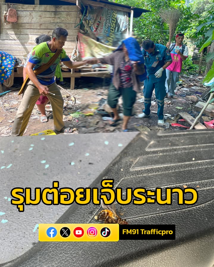 ผึ้งหลวงรุมต่อยชาวบ้านเจ็บหลายราย-หลังวัดบางพยอม-อาสากู้ภัยเ-|-2025-05-28-23:05:00