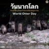 “วันนากโลก”-วันพุธสัปดาห์สุดท้ายของเดือนพฤษภาคม-วันพุธสัปดาห