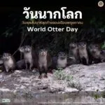 “วันนากโลก”-วันพุธสัปดาห์สุดท้ายของเดือนพฤษภาคม-วันพุธสัปดาห