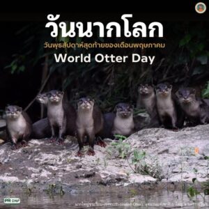 “วันนากโลก”-วันพุธสัปดาห์สุดท้ายของเดือนพฤษภาคม-วันพุธสัปดาห
