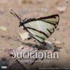 28-พฤษภาคม-วันผีเสื้อโลก-วันที่-28-พฤษภาคมของทุกปีตรงกับวั