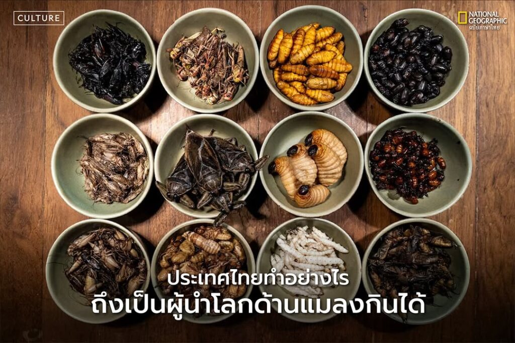 ใครจะคิดว่าแมลงที่เคยถูกมองว่าเป็นของแปลก-จะกลายมาเป็น-‘อาหา