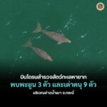 เจ้าหน้าที่อุทยานแห่งชาติหาดนพรัตน์ธารา-หมู่เกาะพีพี-บินโดรน
