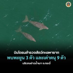 เจ้าหน้าที่อุทยานแห่งชาติหาดนพรัตน์ธารา-หมู่เกาะพีพี-บินโดรน