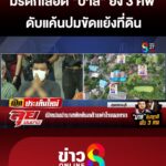 มรดกเลืoด