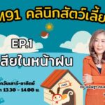 ท้องเสียในหน้าฝน-ep.1-:-fm91-คลินิกสัตว์เลี้ยง-:-31-พฤษภาคม-|-2025-05-31-06:36:00