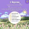 -6-วันสำคัญ-เปิดให้เข้าพื้นที่ป่าอนุรักษ์-ฟรี-ประจำปี-2