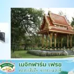 6-เอกลักษณ์ความเป็นไทย-:-4-โมงเย็นเป็นเรื่อง-:-2-มิถุนายน-25-|-2025-06-02-09:52:00