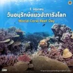 1-มิถุนายน-“วันอนุรักษ์แนวปะการังโลก”-ต้อนรับเดือนแห่งความหล