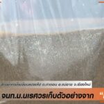 (2/6/68)-เจ้าหน้าที่-มหาวิทยาลัยนเรศวร-ลงพื้นที่เก็บตัวอย่าง