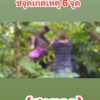 จังหวัดสงขลา-รัวยิvอาก้า-วันที่-1-มิถุนายน-2568-พนักงานสอบสวน-สภ.-|-2025-06-02-09:fifty-three:00