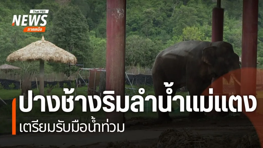 เหตุแม่น้ำแม่แตง-ล้นตลิ่งเข้าท่วมปางช้าง-และ-แหล่งท่องเที่ยว