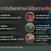 สำรวจความเสียหายแนวปะการัง-เหตุเรือสินค้าเกยตื้น-ข่าวที่คุณ
