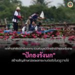 เขตห้ามล่าสัตว์ป่าบึงละหาน-ร่วมกับมูลนิธิไทยรักษ์ป่าและเครือ
