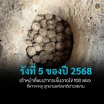 รังที่-5-ของปี-2568-เจ้าหน้าที่พบเต่ากระขึ้นวางไข่-158-ฟ